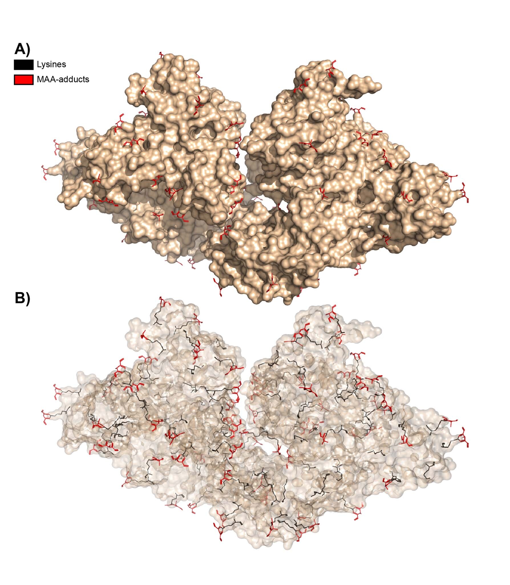PyTMs, Bob Harris research group