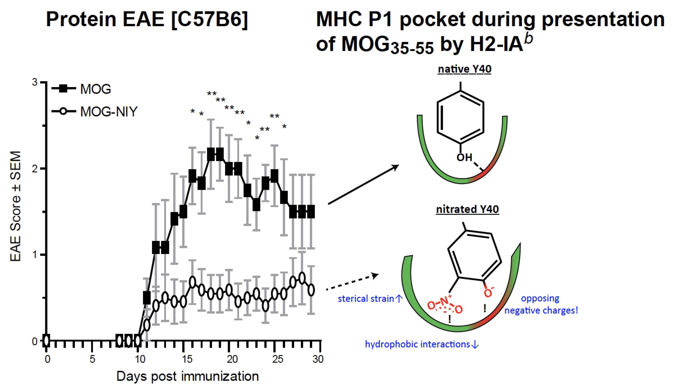 Nit, Bob Harris research group