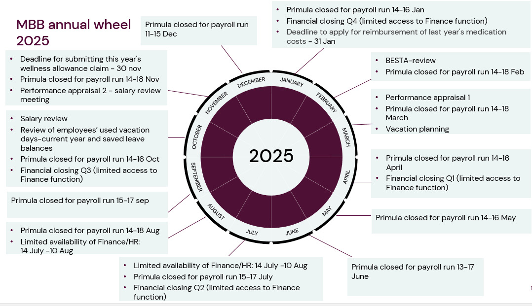 Annual wheel MBB 2025