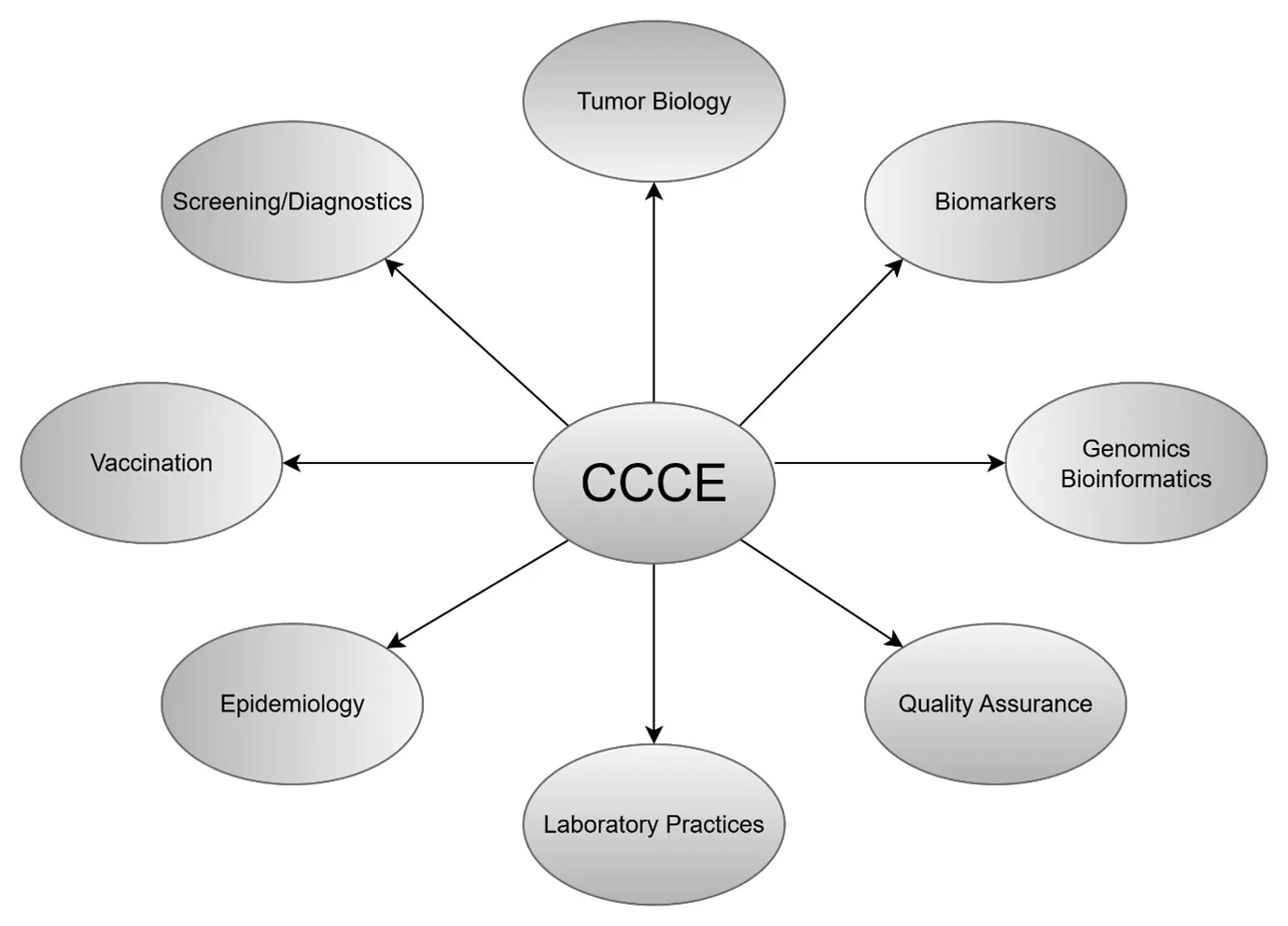 The Center for Cervical Cancer Elimination (CCCE)