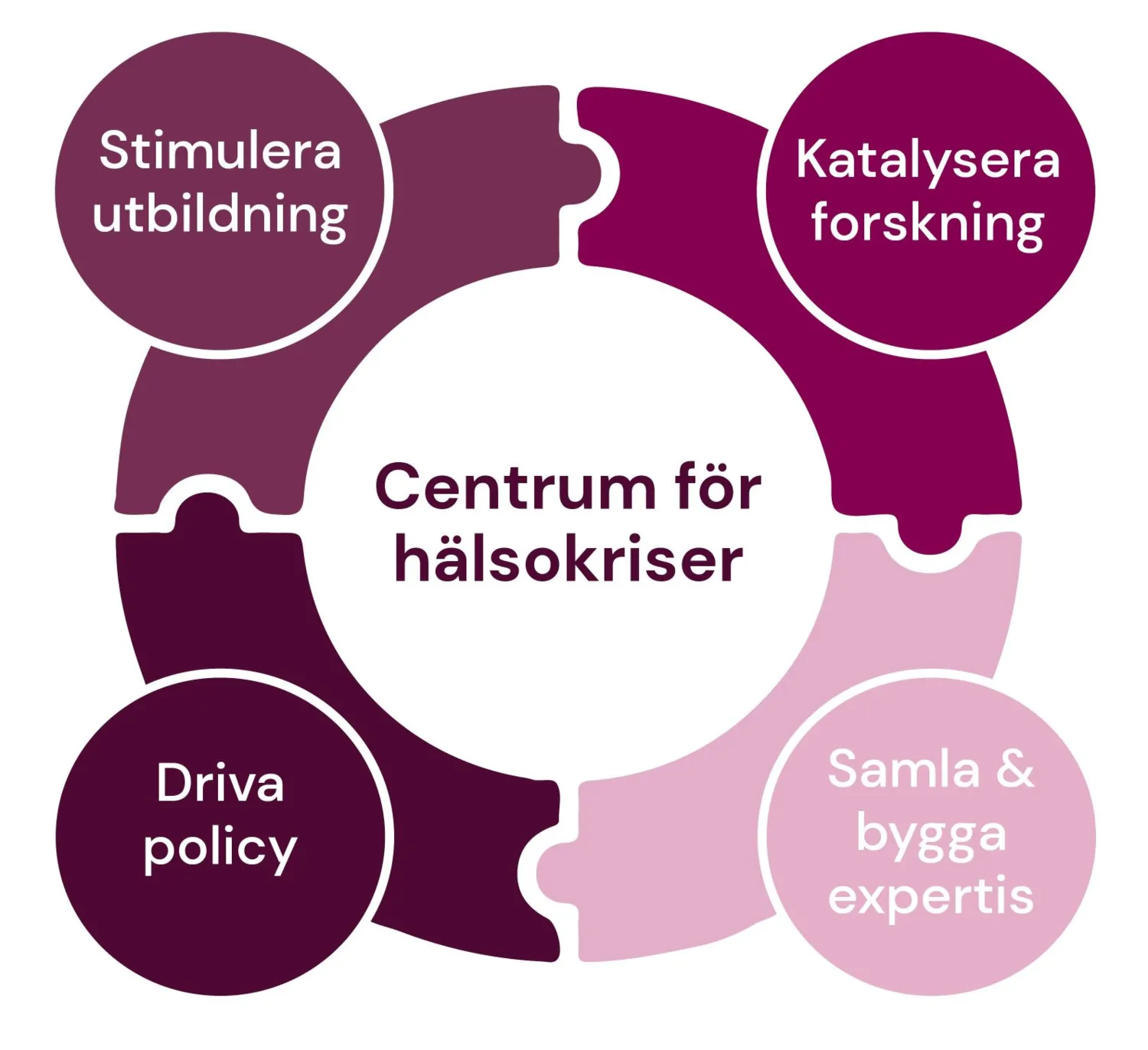 a circle consisting of four puzzle pieces where it says: catalyse research, stimulate education, gather and build expertise, drive policy