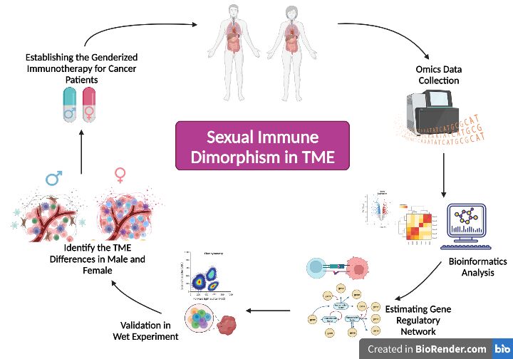 Graphical illustration of Research line I, Project I, Dhifaf Sarhans reesearch.