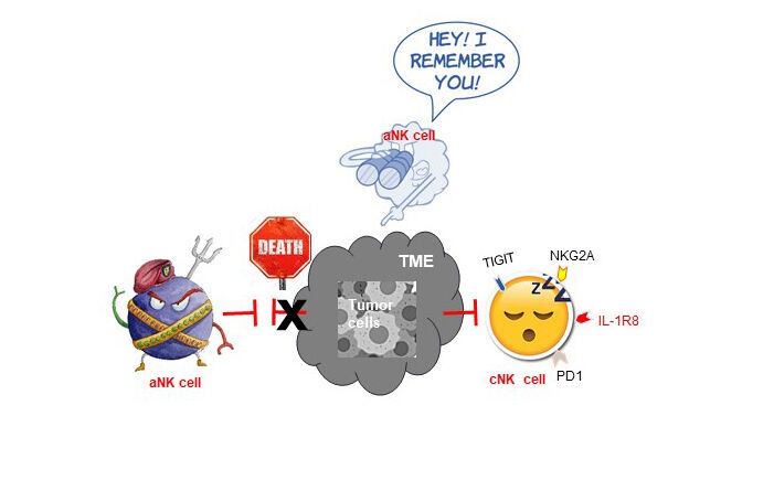Graphical illustration, Research line II.
