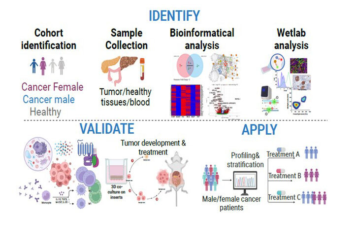 Graphical abstract, Research line I. Dhifaf Sarhan research.
