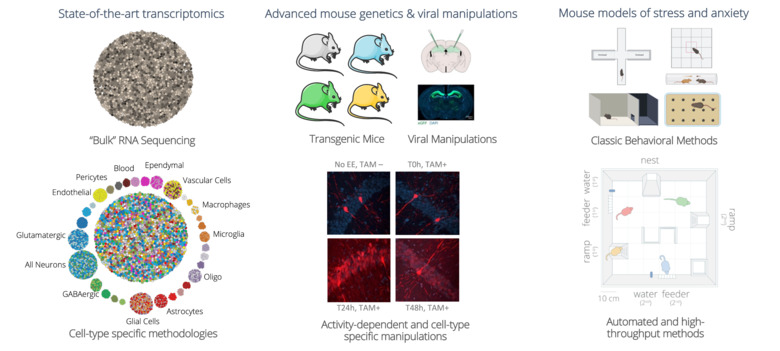 Schematisk översikt av forskningsmetoder
