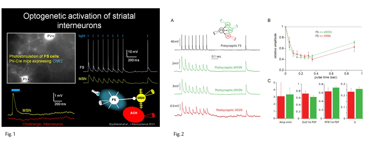 två figurer som visar 