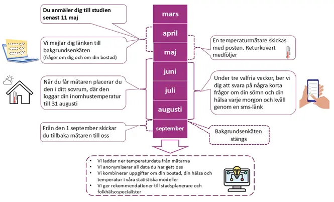 Heatwise 2025 Så går studien till