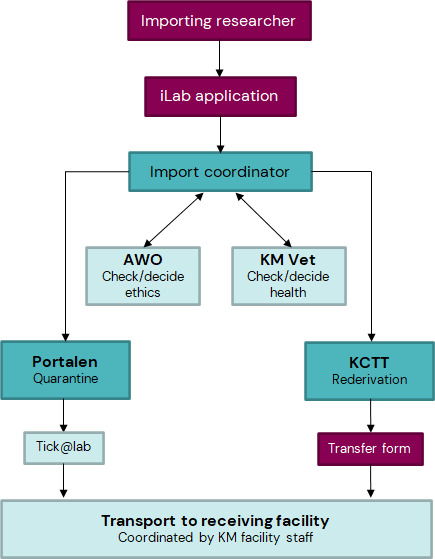 Flow chart of import of mice