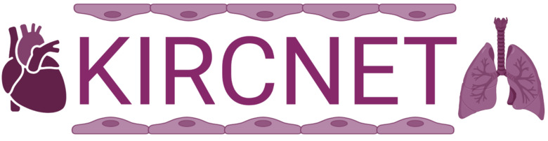 KIRCNET