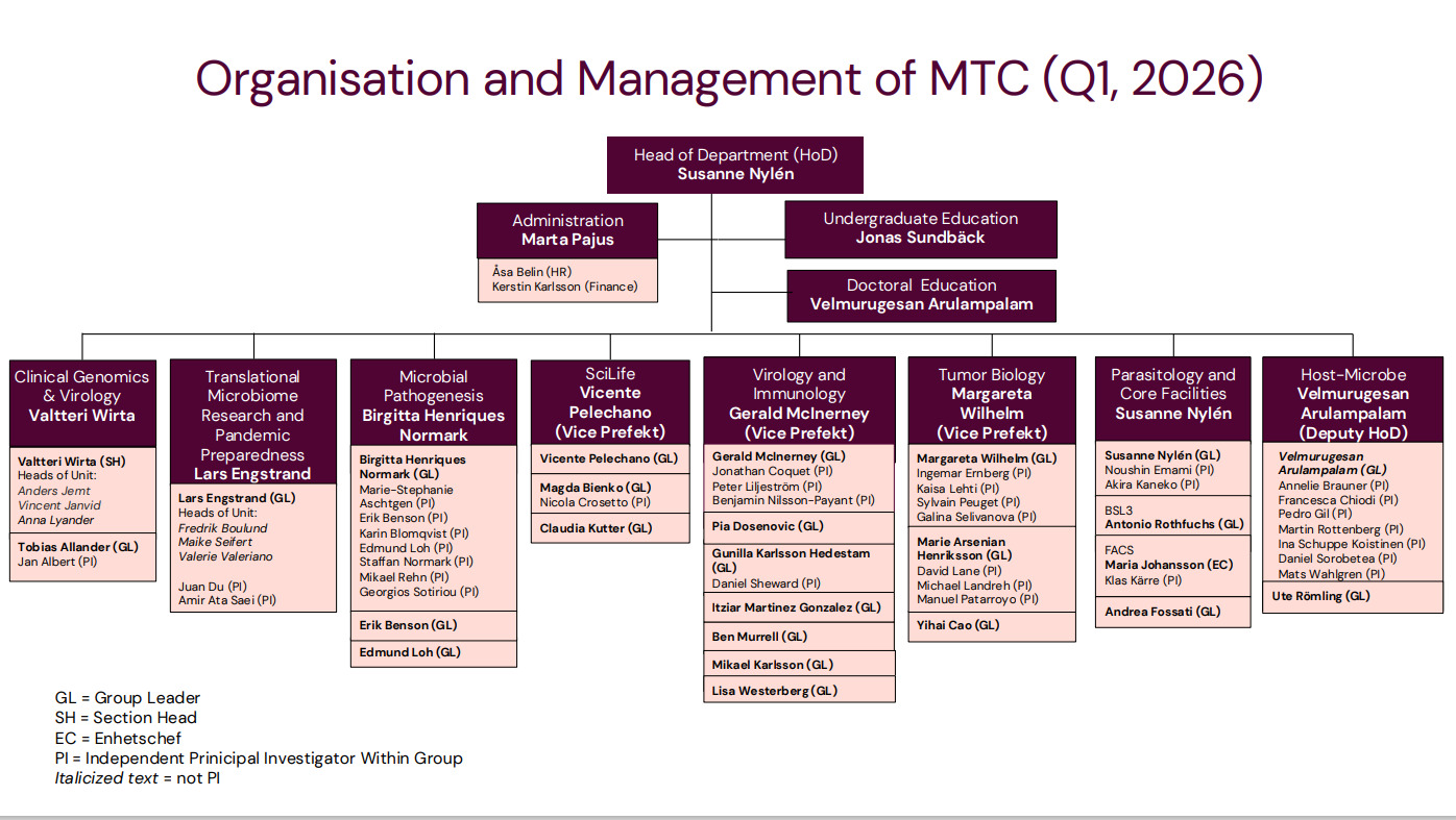 organisational chart MTC Q1 2026 (new)