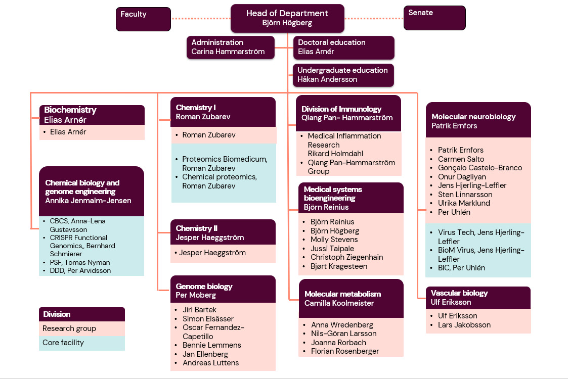 Organisationsschema MBB 24 nov 2025