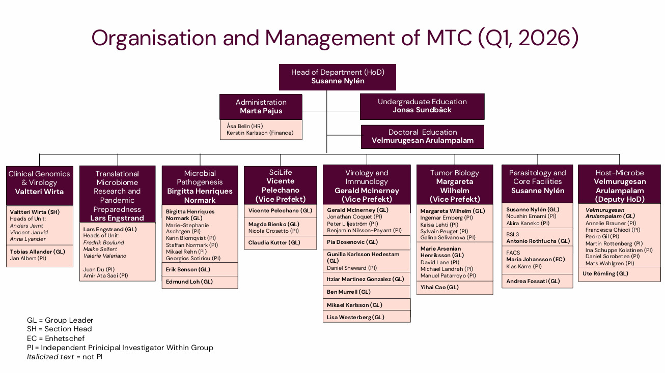 Organisational chart March 2026