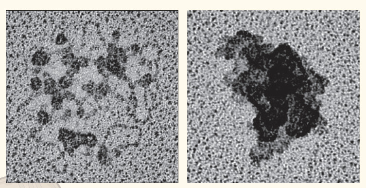 Illustration from Bonekamp NA & Larsson NG, Cell.