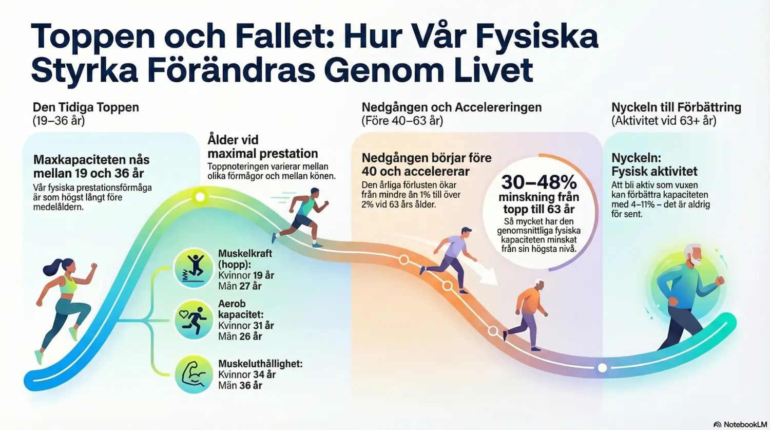 Illustration av hur vår fysiska styrka förändras genom livet.