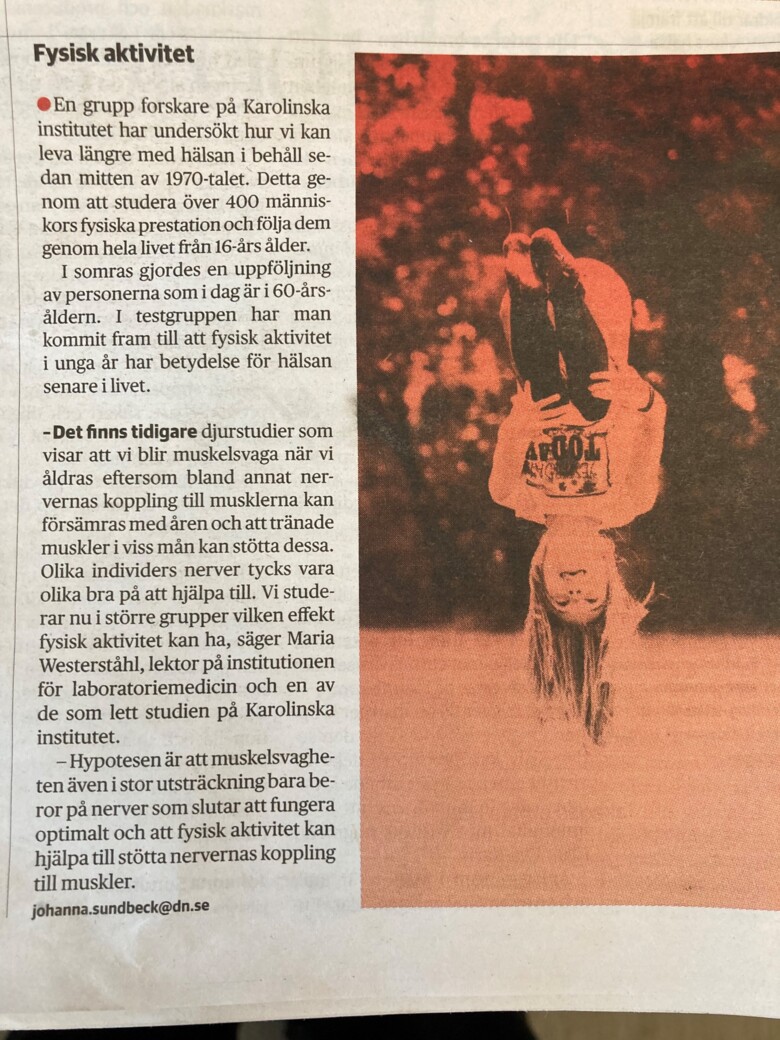 Screenshot från en artikel i DN om forskningsprojektet: fysisk kapacitet och hälsa.
