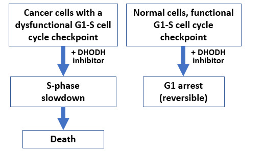An illustration from Sonia Lain Group