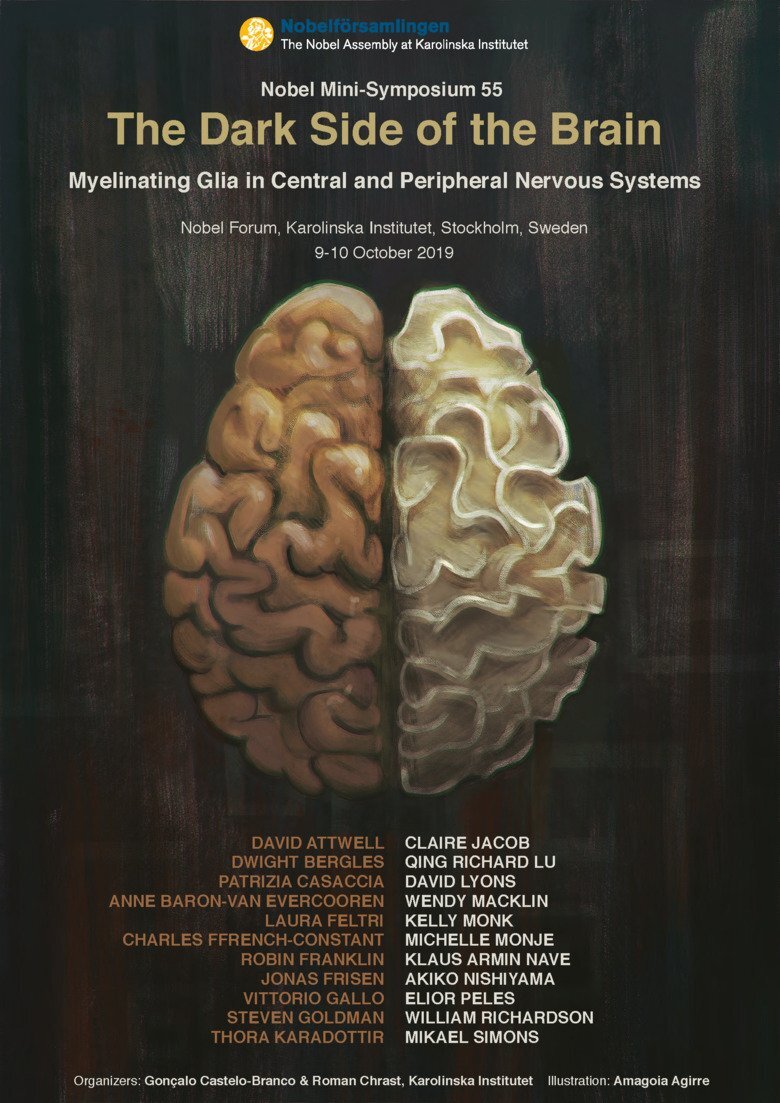 Poster the Dark side of the Brain conference