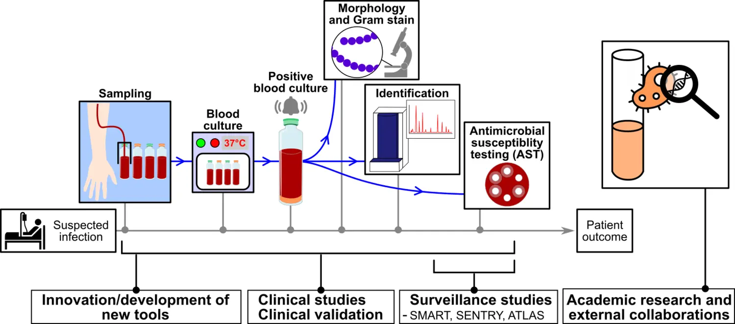 Grafisk illustration av Volkan Özencis forskningsprojekt inom ramen för klinisk mikrobiologisk diagnostik.