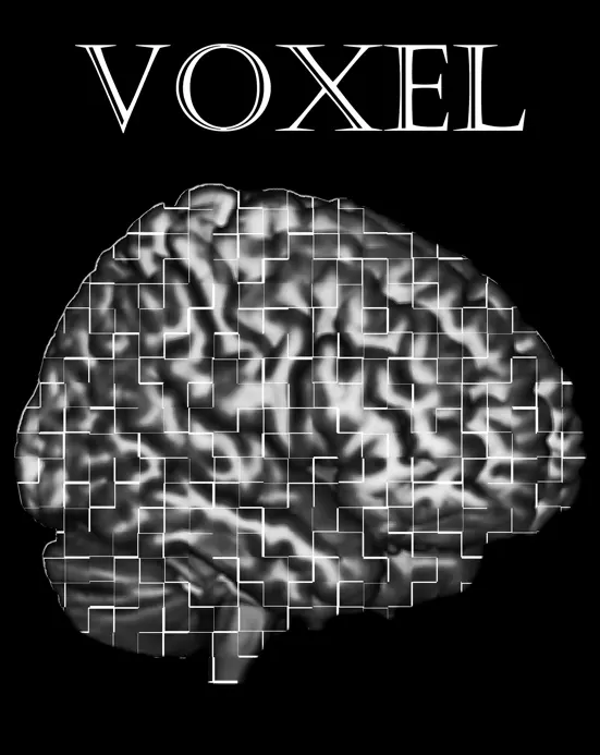 graphic illustration of a brain in cross-section