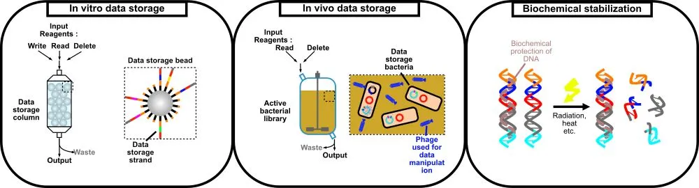 Illustration of the project