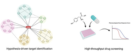Wilhelm lab, graphic illustrations of models for identifying molecular mechanisms.