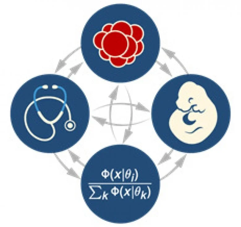 An illustration from Igor Adameyko lab