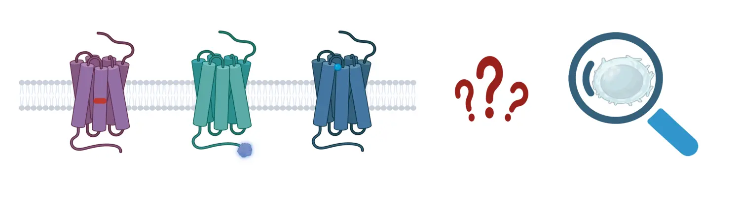 illustration of molecules and a magnefying glass