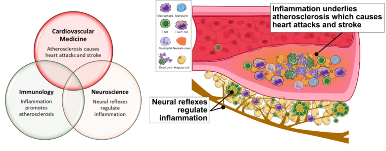 The figure illustrates what is written in the caption text.