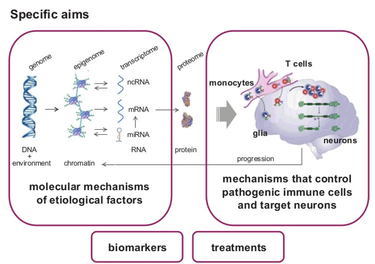 Bild över biomarkörer och behandlingar