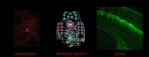 Meletis laboratory research focus