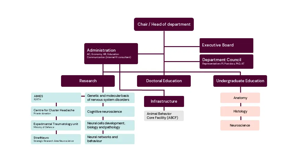 Organisation chart for 2026
