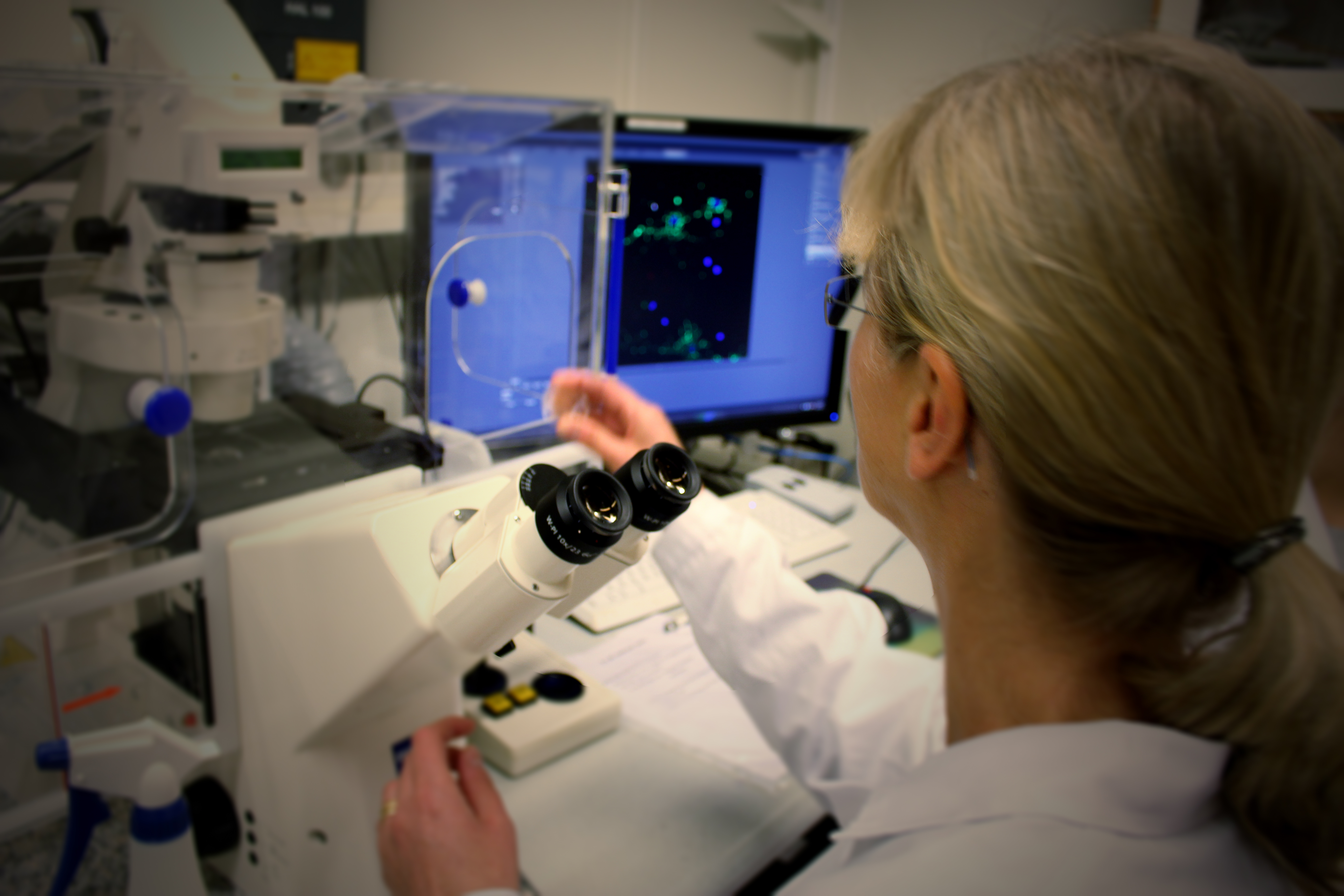 Foto: Selma Wolofsky, Institutionen för NVS.