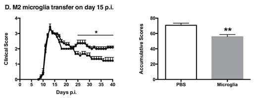 Glia, Bob Harris research group