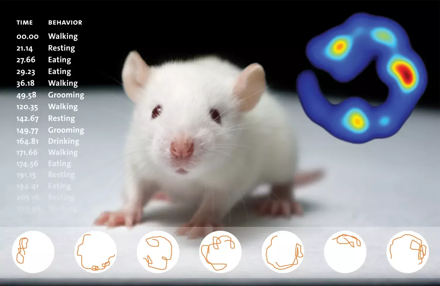 Dekorativ bild till landningssidan