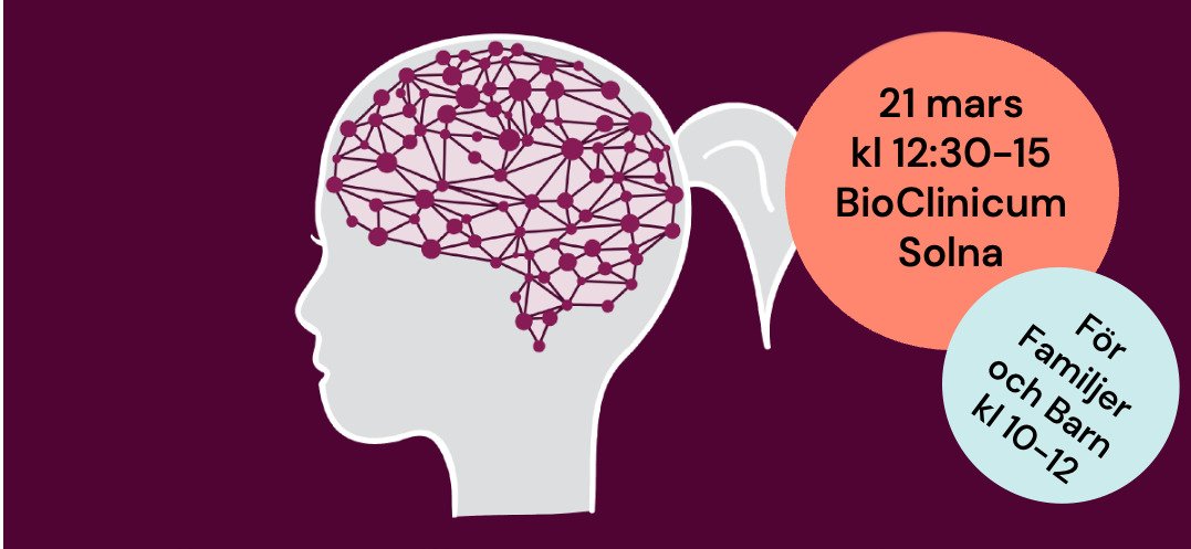 En resa genom hjärnan