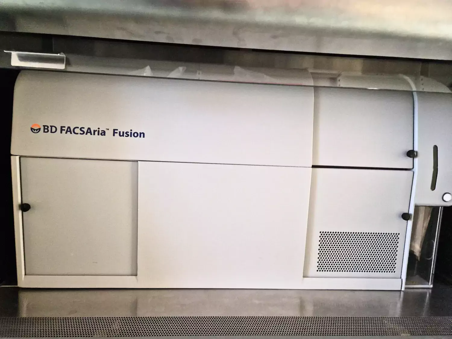 Sorter BD FACS Aria Fusion in MedH Flow Cytometry Core Facility.