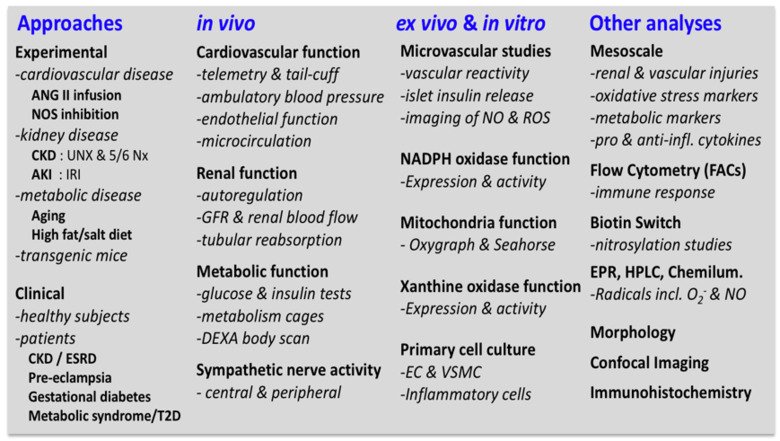 Tabell över Mattias Carlström forskning