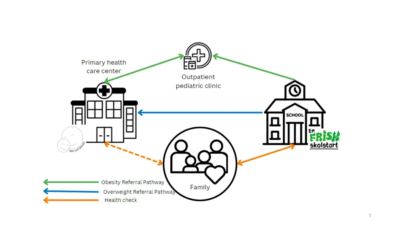 Model for the research project Co-fam, A partnership model for health promotion and early prevention and treatment of obesity