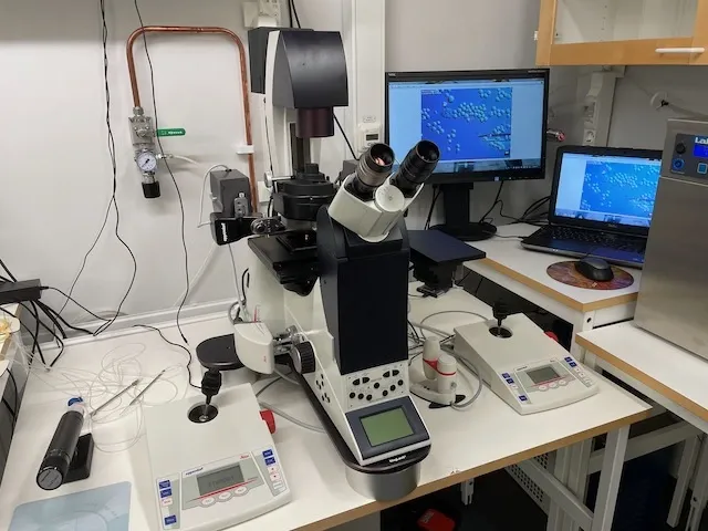 Leica-Eppendorf microinjection setup
