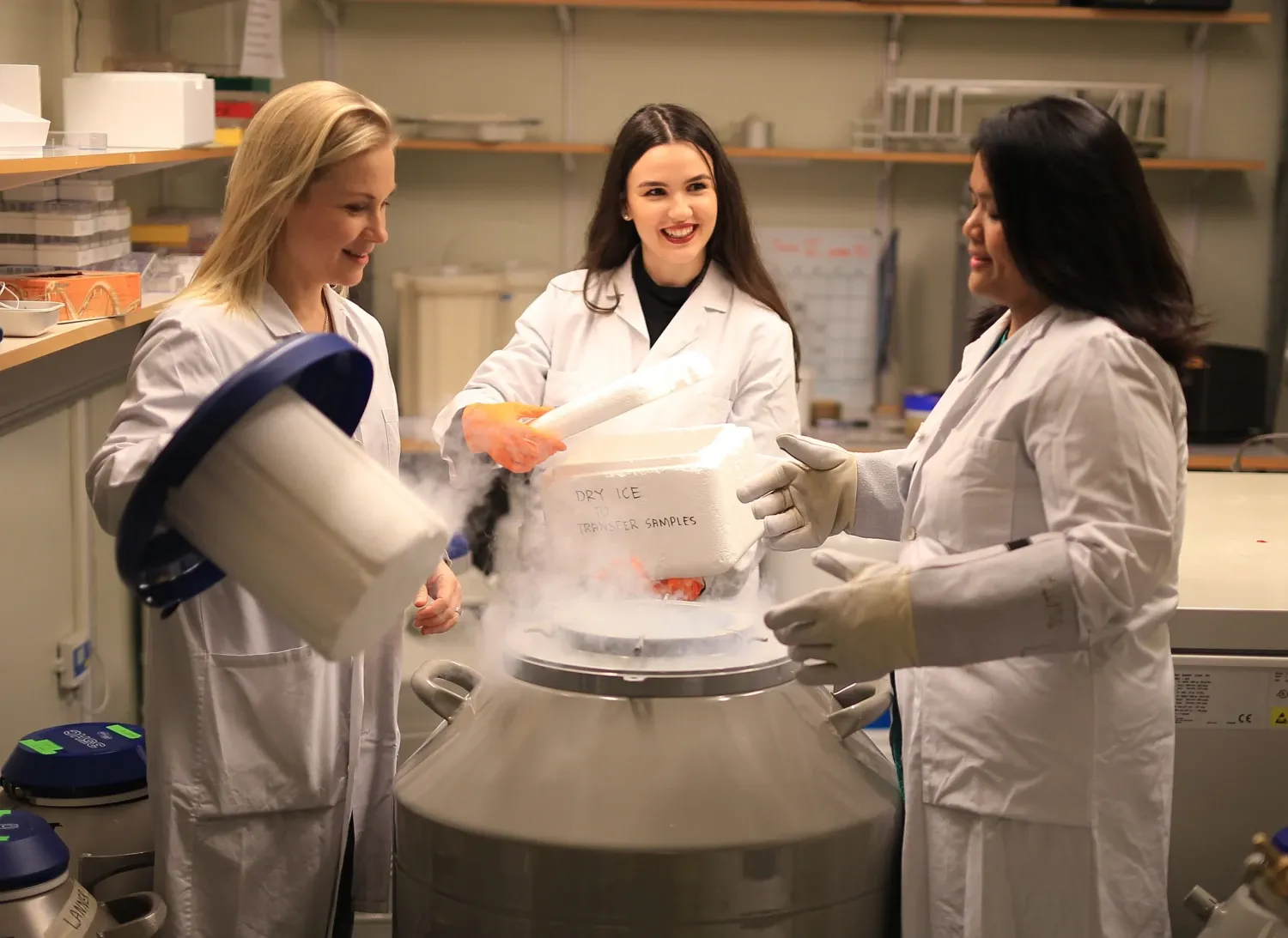 Forskning obstetrik och gynekologi