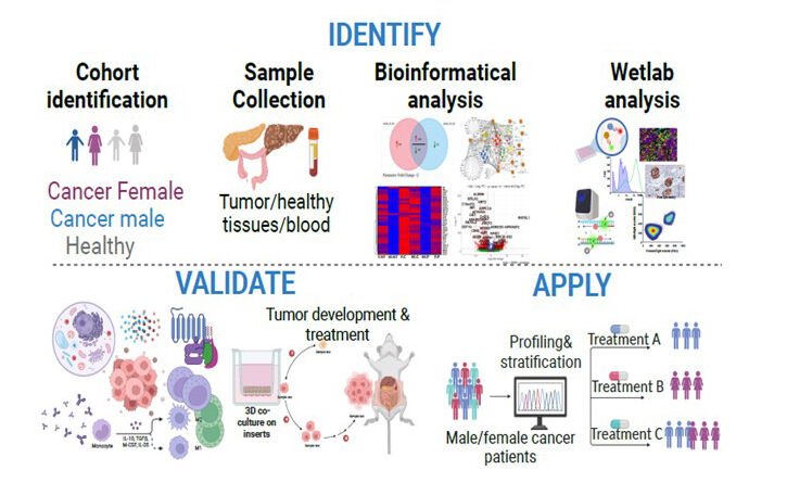 Graphical abstract, Research line I. Dhifaf Sarhan research.