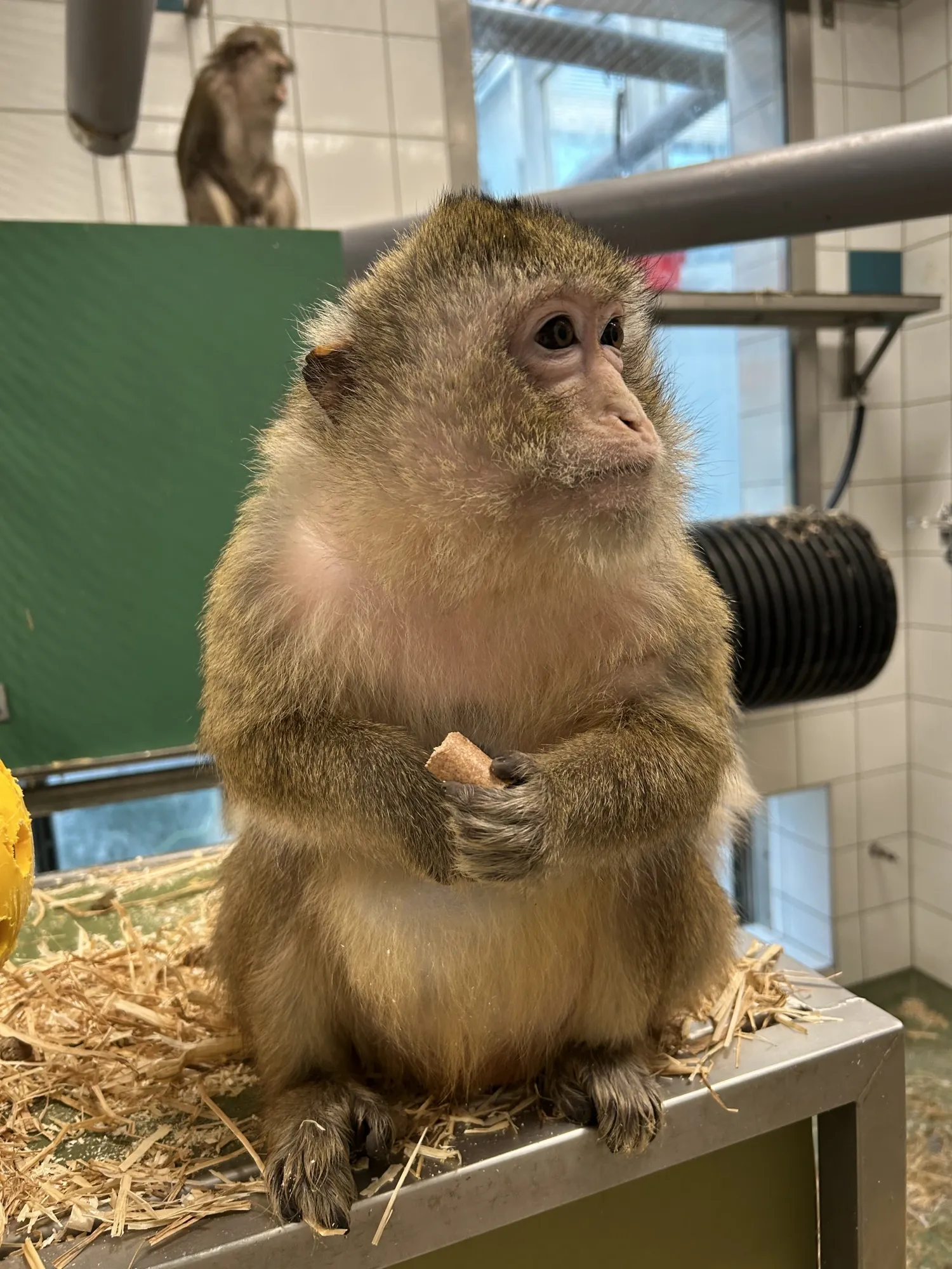 KMF olika nivåer - siktbarriärer