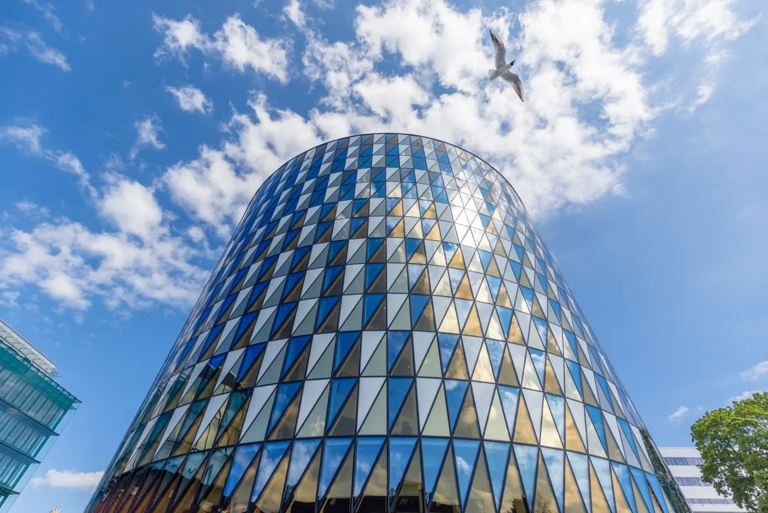 Aula Medica against a blue sky, a bird is flying by.