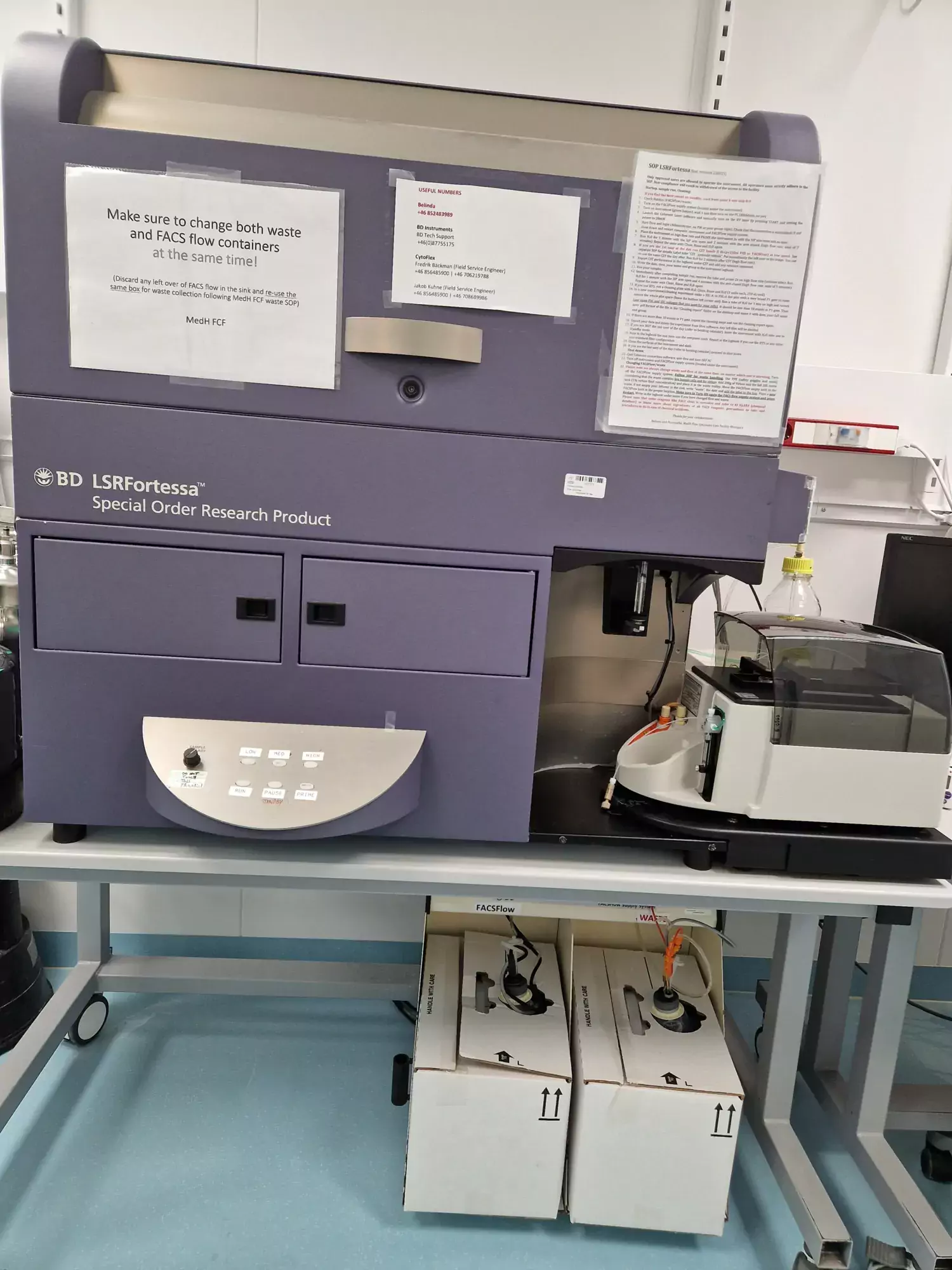 Analyzer LSRFortessa in MedH Flow Cytometry Core Facility.