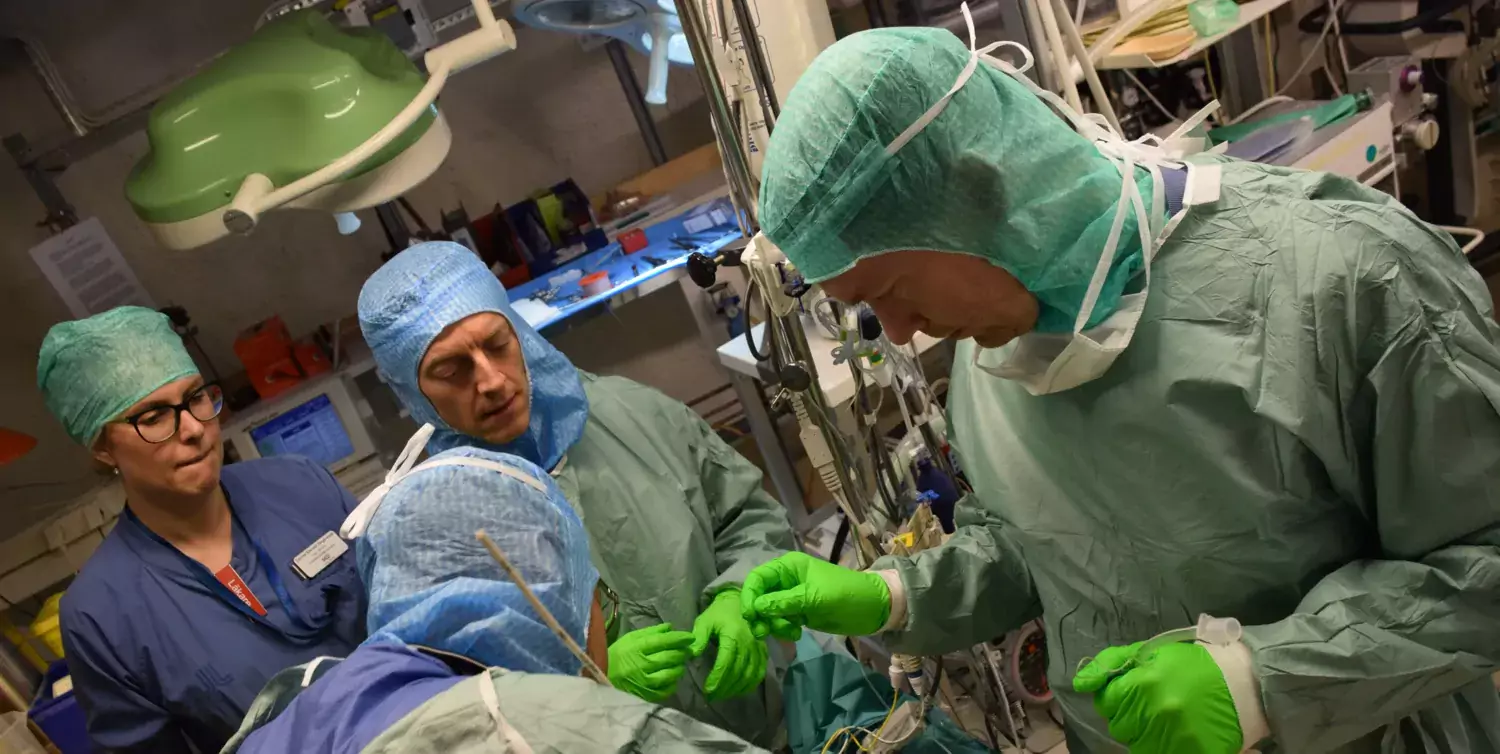 From left to right Louise Elander Degerstedt, Tomas Karlsson, Anders Forsgren.