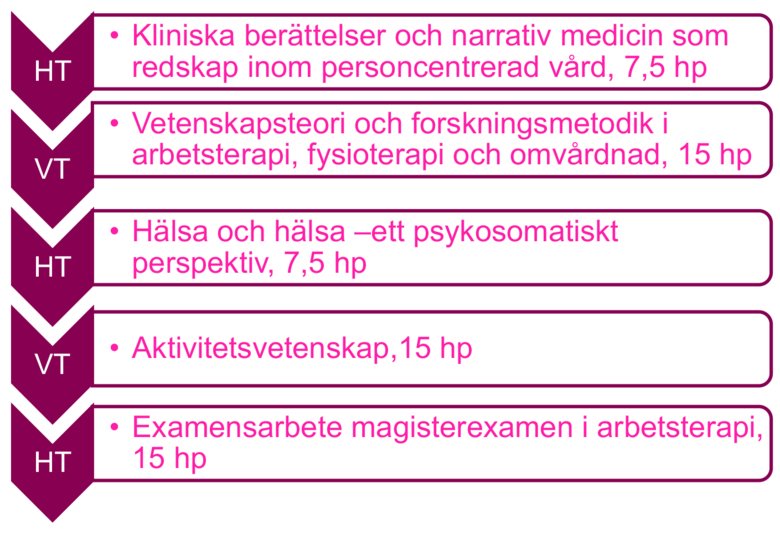 Magisterexamen arbetsterapi ht