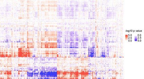 MicroRNA expression across 5000 human tumor samples. Adapted from Hydbring et al., Cancer Cell, 2017.