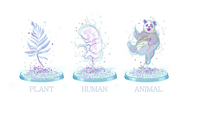 Figur som illustrerar 