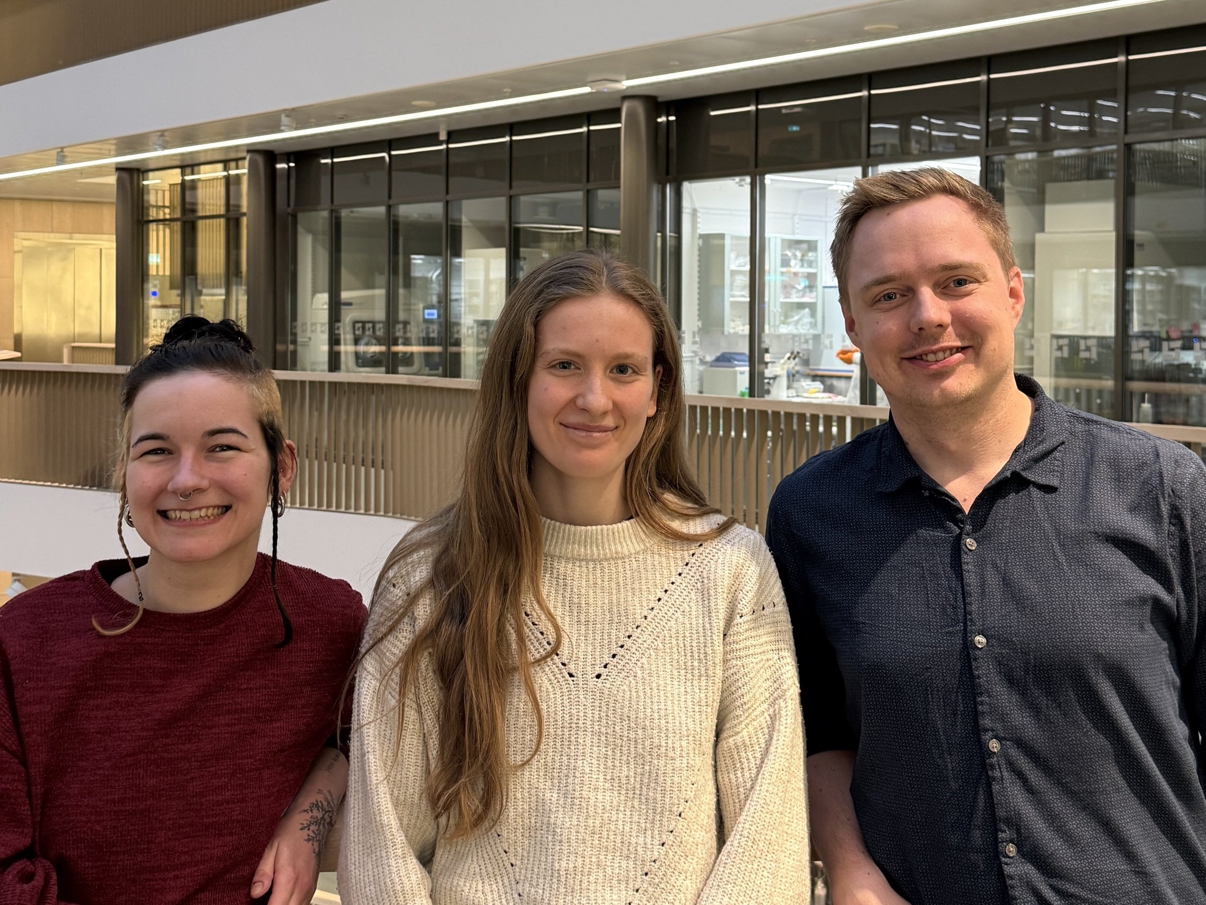 Team Nilsson- Payant