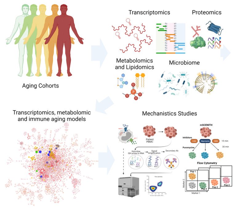 Illustration of focus and methods used for The Systems Virology Lab at Department of Laboratory Medicine.